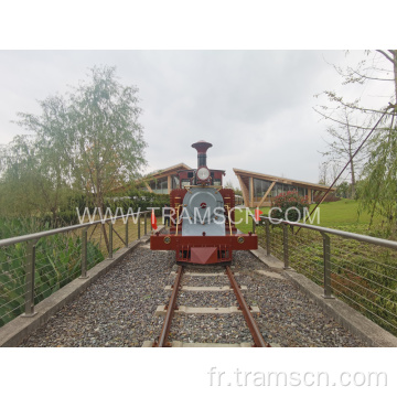 Melbourne Steam Locomotive Train FIPOTRY